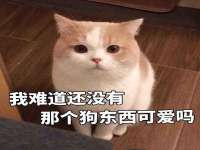 厦门华韵盟商贸有限公司