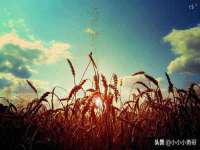 厦门华韵盟商贸有限公司