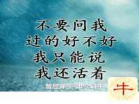 厦门华韵盟商贸有限公司