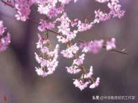 厦门华韵盟商贸有限公司