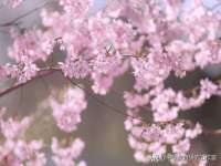 厦门华韵盟商贸有限公司