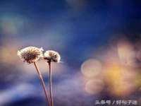 厦门华韵盟商贸有限公司