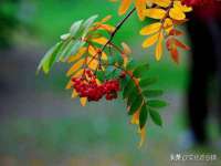 厦门华韵盟商贸有限公司
