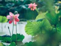厦门华韵盟商贸有限公司