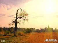 厦门华韵盟商贸有限公司