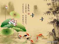 厦门华韵盟商贸有限公司
