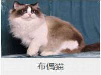 厦门华韵盟商贸有限公司