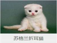 厦门华韵盟商贸有限公司