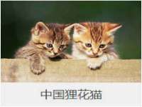 厦门华韵盟商贸有限公司