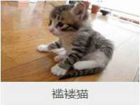 厦门华韵盟商贸有限公司