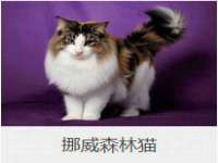 厦门华韵盟商贸有限公司