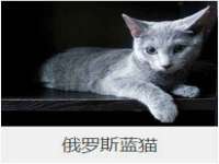 厦门华韵盟商贸有限公司