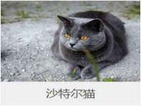 厦门华韵盟商贸有限公司