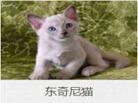 厦门华韵盟商贸有限公司