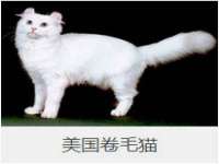 厦门华韵盟商贸有限公司
