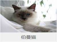 厦门华韵盟商贸有限公司
