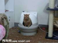 厦门华韵盟商贸有限公司