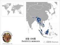 厦门华韵盟商贸有限公司