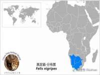 厦门华韵盟商贸有限公司
