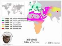 厦门华韵盟商贸有限公司