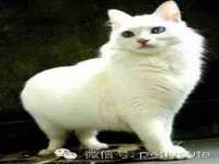 厦门华韵盟商贸有限公司