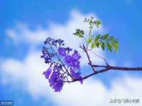厦门华韵盟商贸有限公司