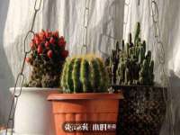 厦门华韵盟商贸有限公司
