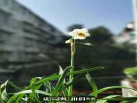 厦门华韵盟商贸有限公司