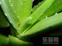 厦门华韵盟商贸有限公司