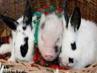 厦门华韵盟商贸有限公司