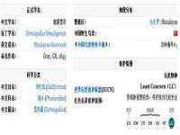 厦门华韵盟商贸有限公司