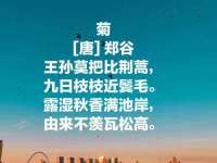 厦门华韵盟商贸有限公司
