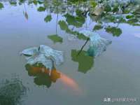 厦门华韵盟商贸有限公司