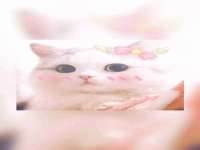 厦门华韵盟商贸有限公司