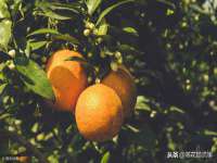 厦门华韵盟商贸有限公司