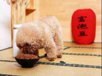 厦门华韵盟商贸有限公司