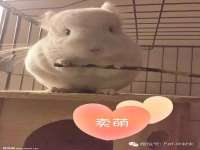 厦门华韵盟商贸有限公司