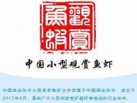 厦门华韵盟商贸有限公司