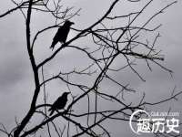 厦门华韵盟商贸有限公司
