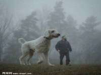 厦门华韵盟商贸有限公司