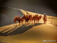 厦门华韵盟商贸有限公司