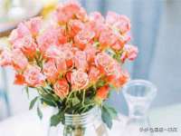 厦门华韵盟商贸有限公司