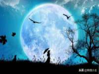 厦门华韵盟商贸有限公司