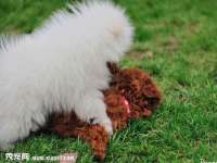 厦门华韵盟商贸有限公司