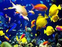 厦门华韵盟商贸有限公司
